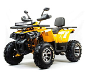 Комплектующие для квадроцикла 200 WILD TRACK X PRO серый