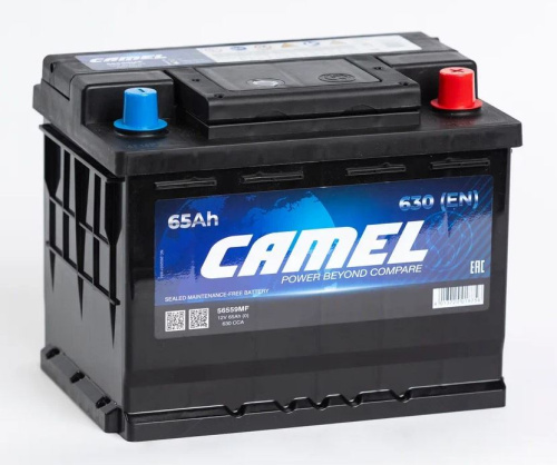 c386c7b5-0576-11f0-9b9e-a9e83a98c7a3 1